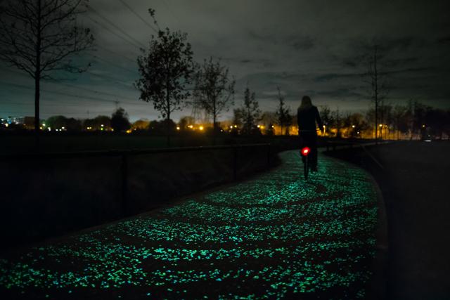 Olanda: in bici sulla Notte stellata