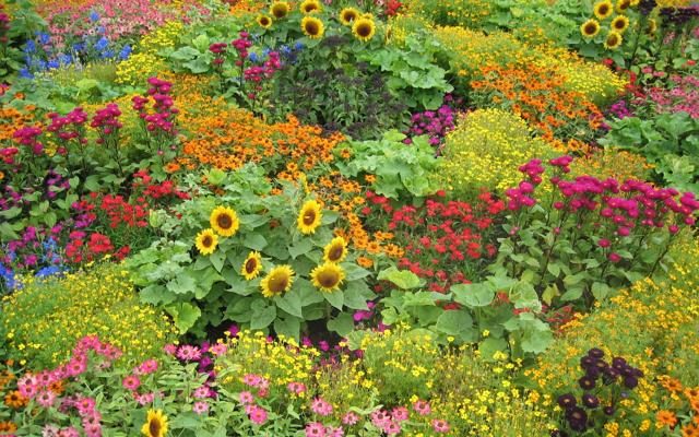 Foto È in Nuova Zelanda il giardino più bello del mondo