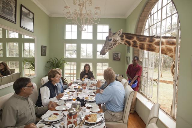 A colazione con le giraffe