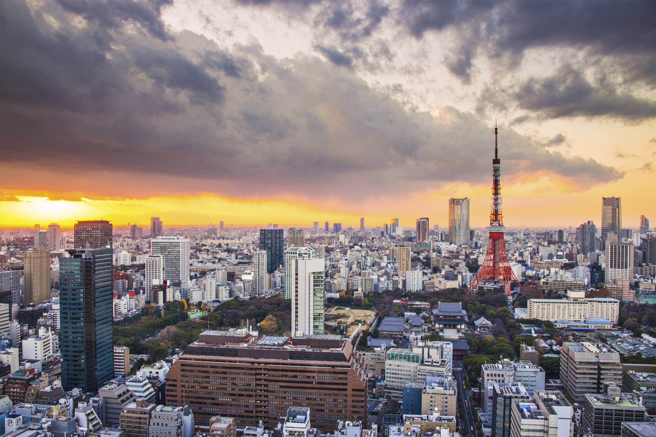 Guida Tokyo Dove Viaggi