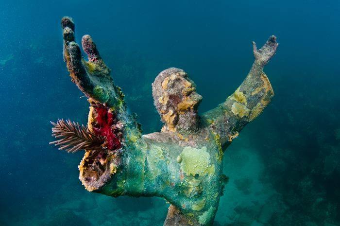 Sotto il mare: 15 meraviglie da scoprire