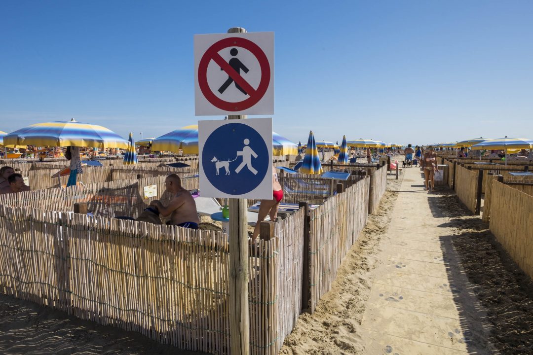Rimini, la dog beach 5 stelle