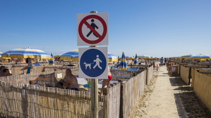 Foto Rimini, la dog beach 5 stelle