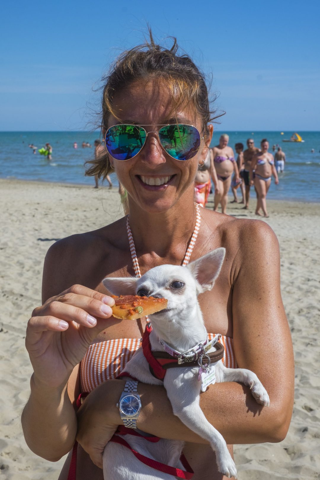 Rimini, la dog beach 5 stelle