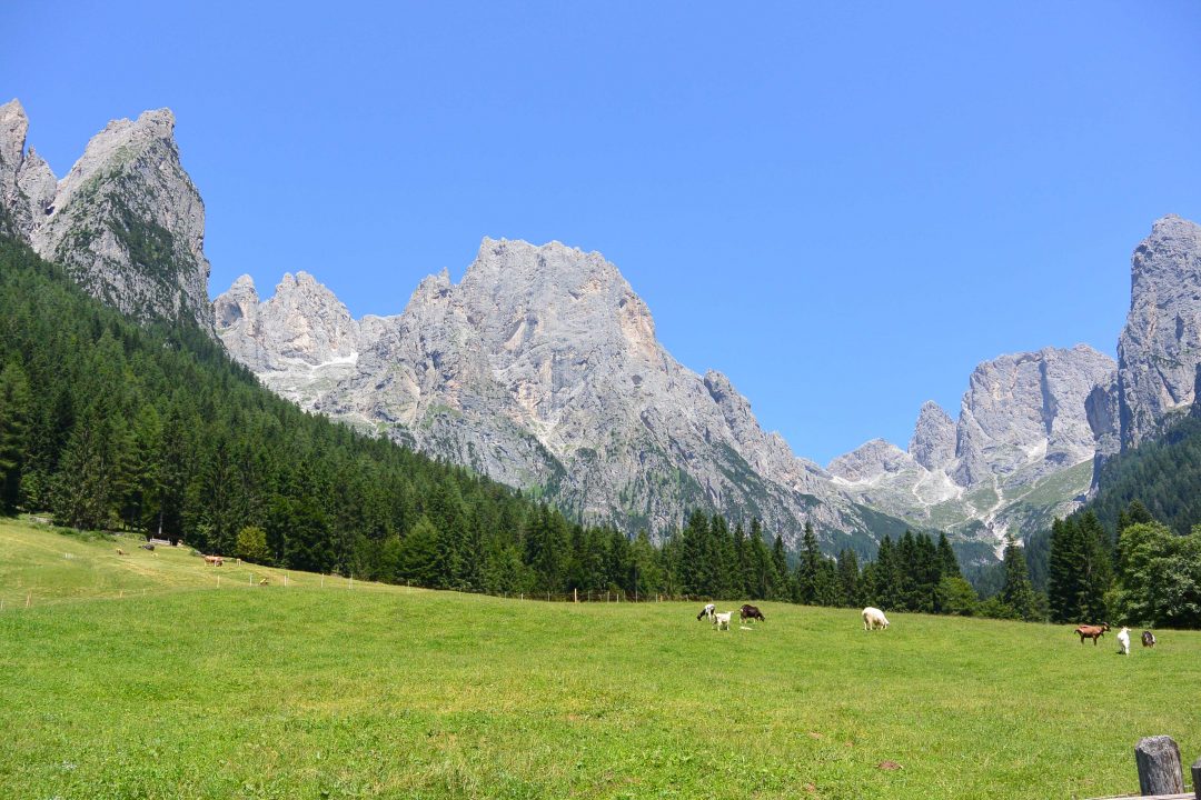 Nel Trentino active e green