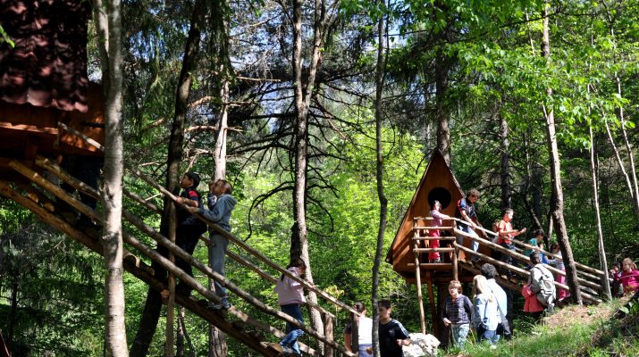 Foto Friuli: ritorno alla natura nelle treehouse