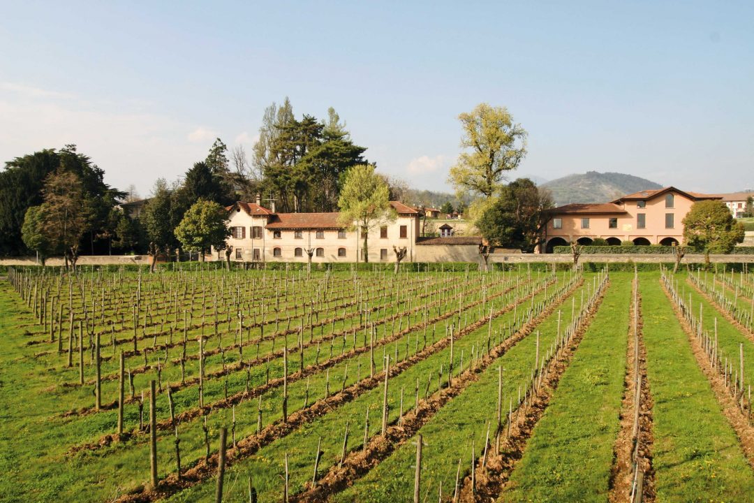 In vigna: 20 itinerari nell’Italia del vino