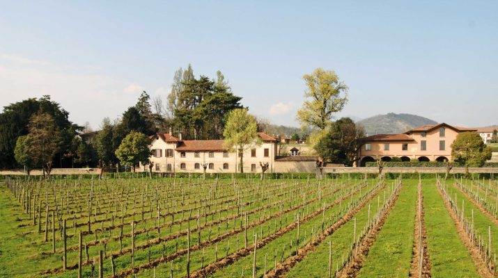 Foto In vigna: 20 itinerari nell'Italia del vino