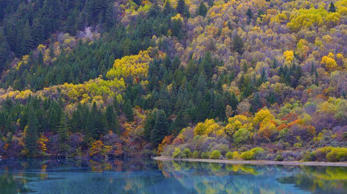 Foto Foliage: le foto più belle