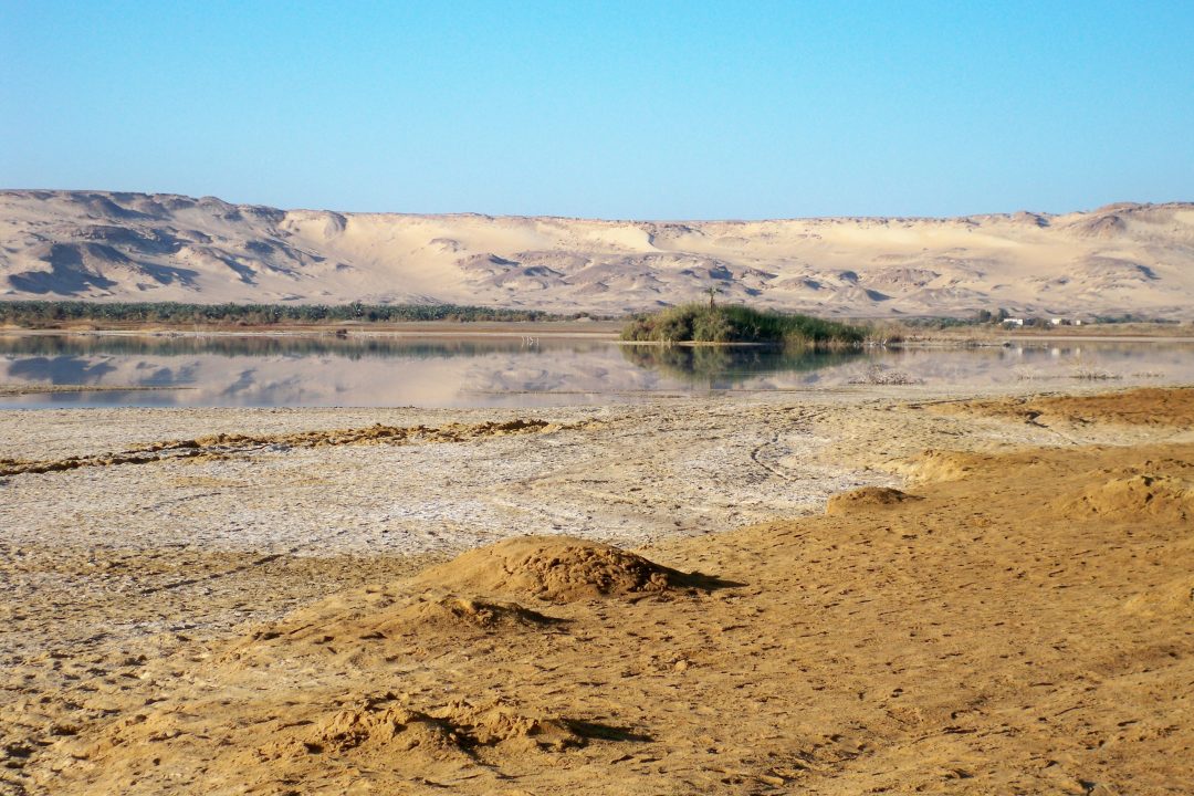 Baharya, Deserto Occidentale Egiziano