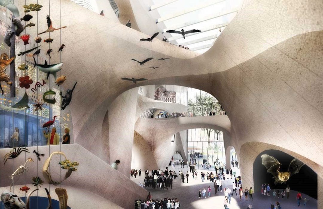 New York: sarà tutto nuovo il Natural History Museum