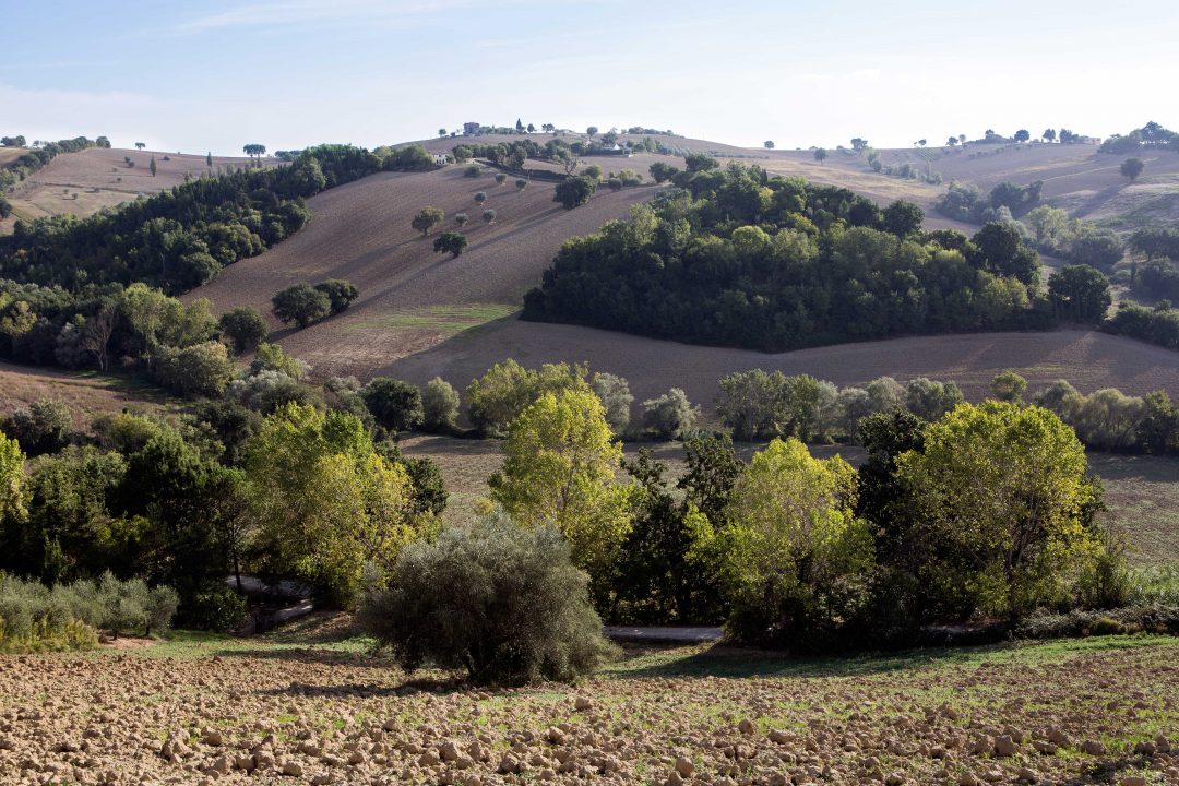 Marche: dove fare shopping gourmand