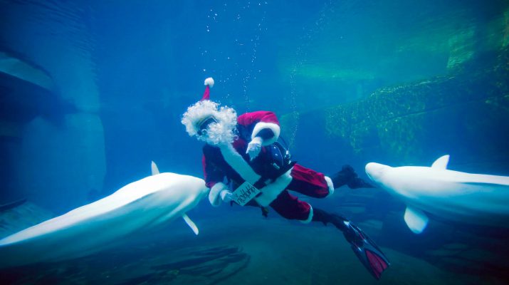 Foto Babbi Natale: i più pazzi del mondo