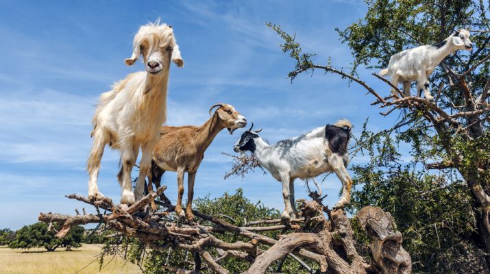 Foto 10 viaggi esperienziali per il 2016