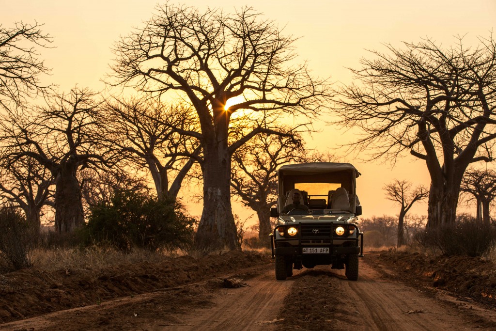 safari in tanzania dove atterrare