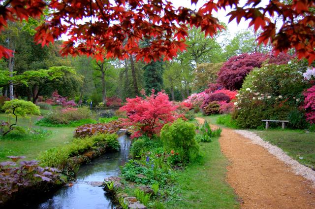 I 70 giardini di primavera più belli del mondo