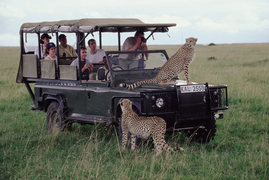 safari kenia e mare
