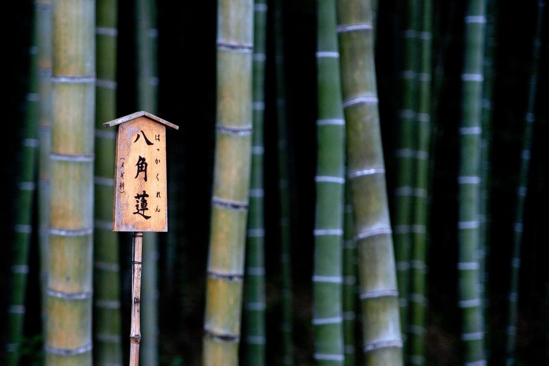 Giappone: nei giardini, tra natura e spiritualità