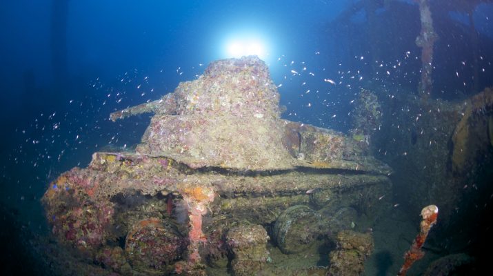Foto Mondo inaspettato: 40 attrazioni sott'acqua