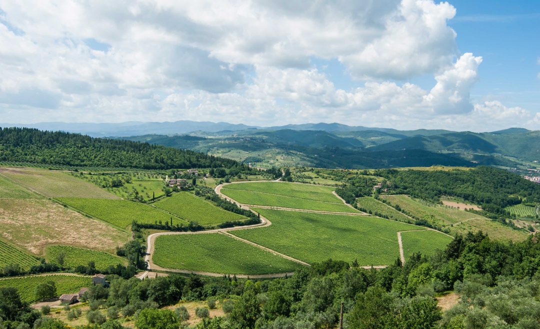 Tenute Frescobaldi: tutto il bello delle vigne toscane