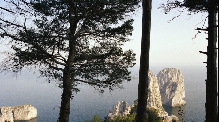 Foto Il Festival del Paesaggio a Capri