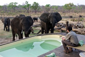 Zimbabwe: safari e natura. Paradiso d'Africa da riscoprire