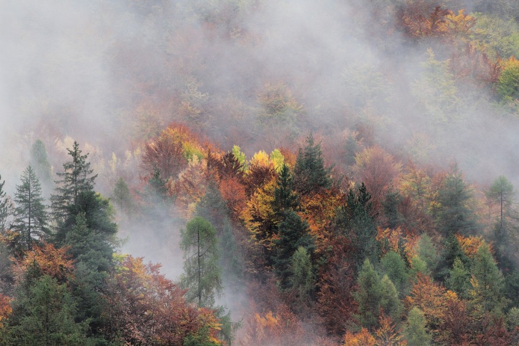 Foliage: tutta la magia dell’autunno in 30 luoghi