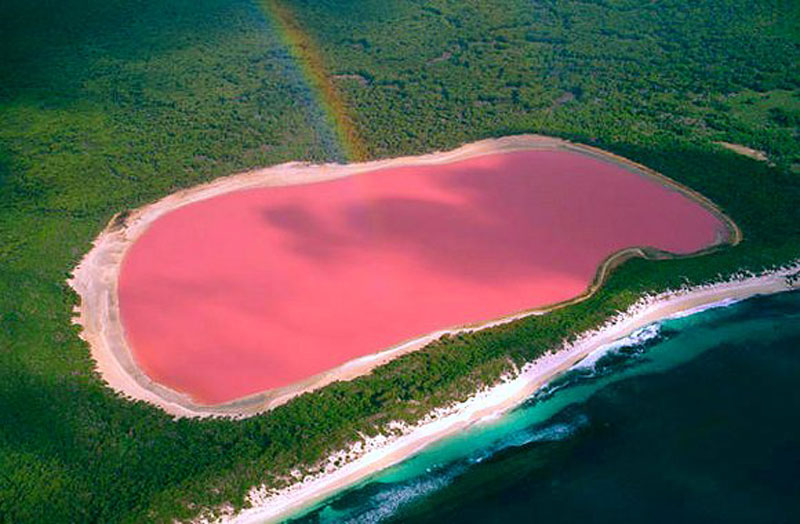 Questo lago rosa in Australia esiste davvero