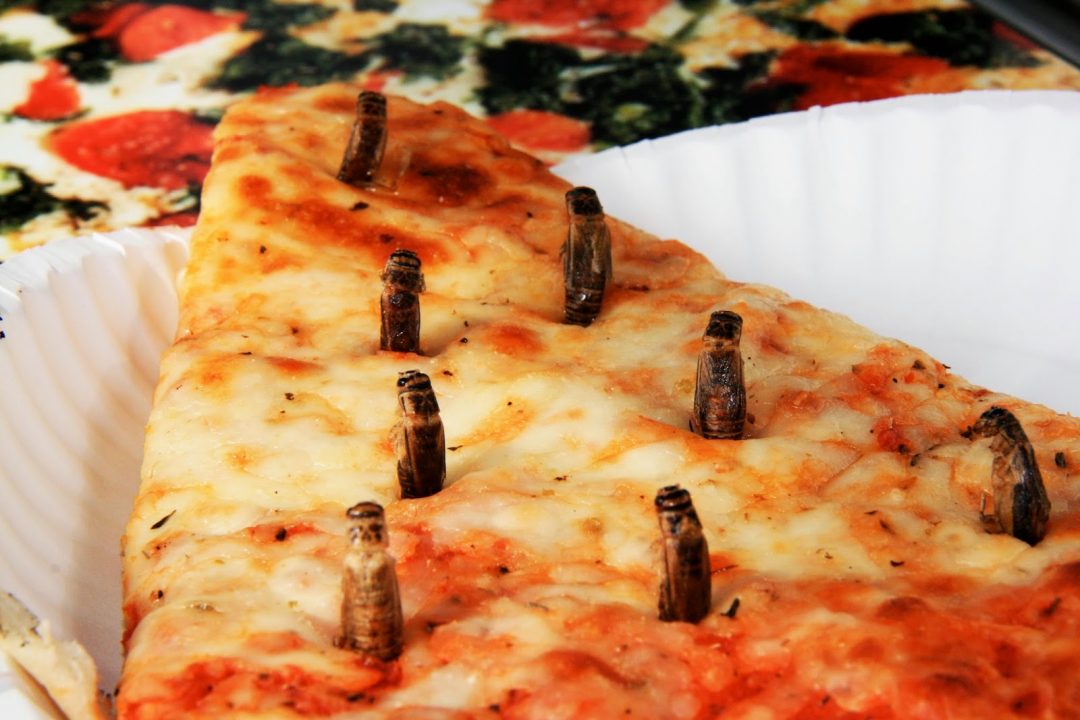Pizze pazze, i gusti più strani dal mondo