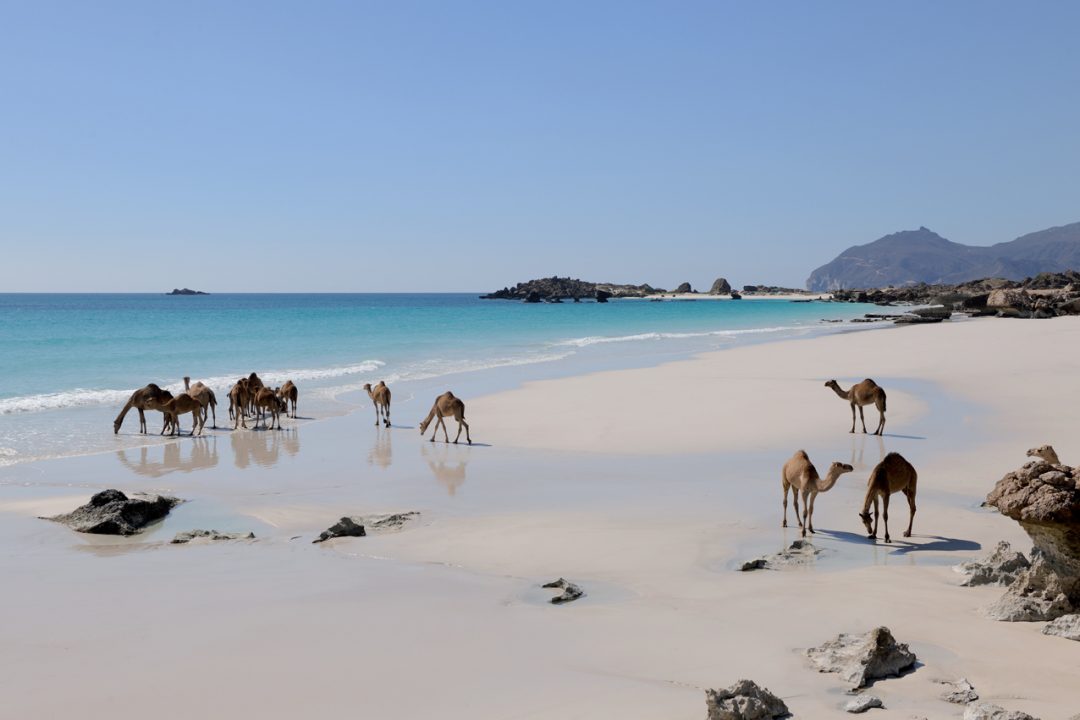 Natale al caldo: il mare dell’Oman