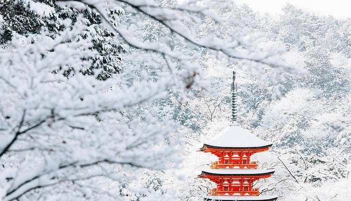 Foto La neve trasforma Kyoto in una città delle meraviglie