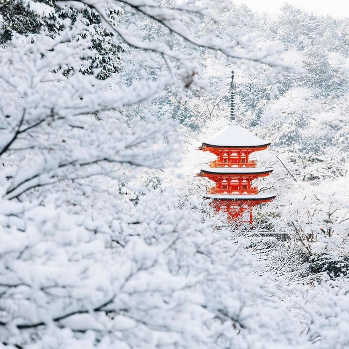 La neve trasforma Kyoto in una città delle meraviglie