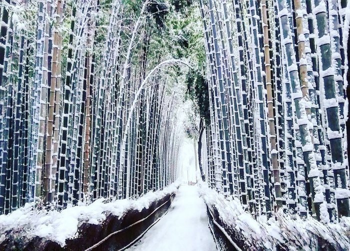 La neve trasforma Kyoto in una città delle meraviglie