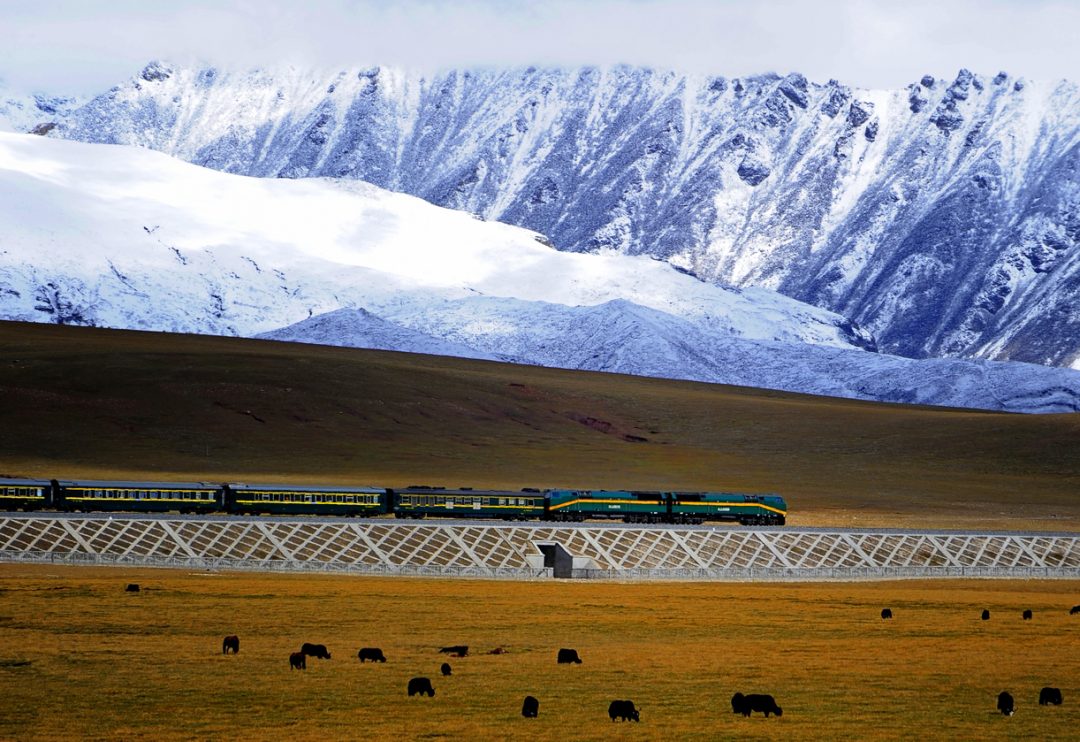 Il Treno del Cielo (Cina, Tibet) 