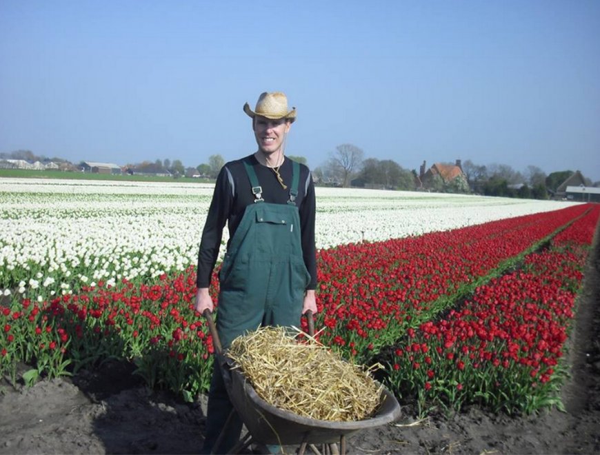 250.000 tulipani alle porte di Milano