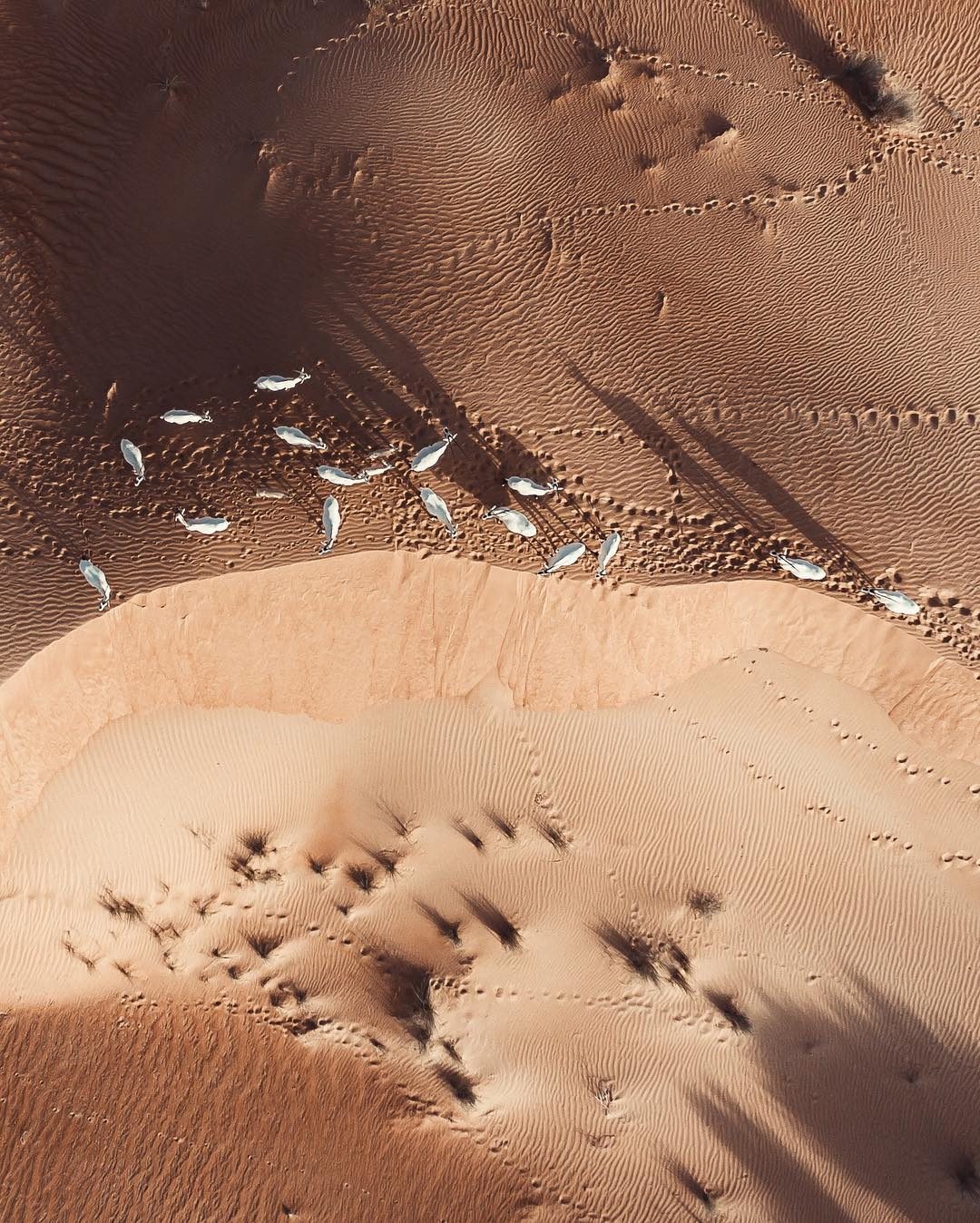 Scatti surreali del deserto arabo