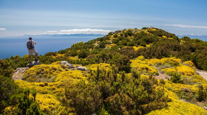 Foto Isola d'Elba: spiagge, trekking e in bici sui sentieri