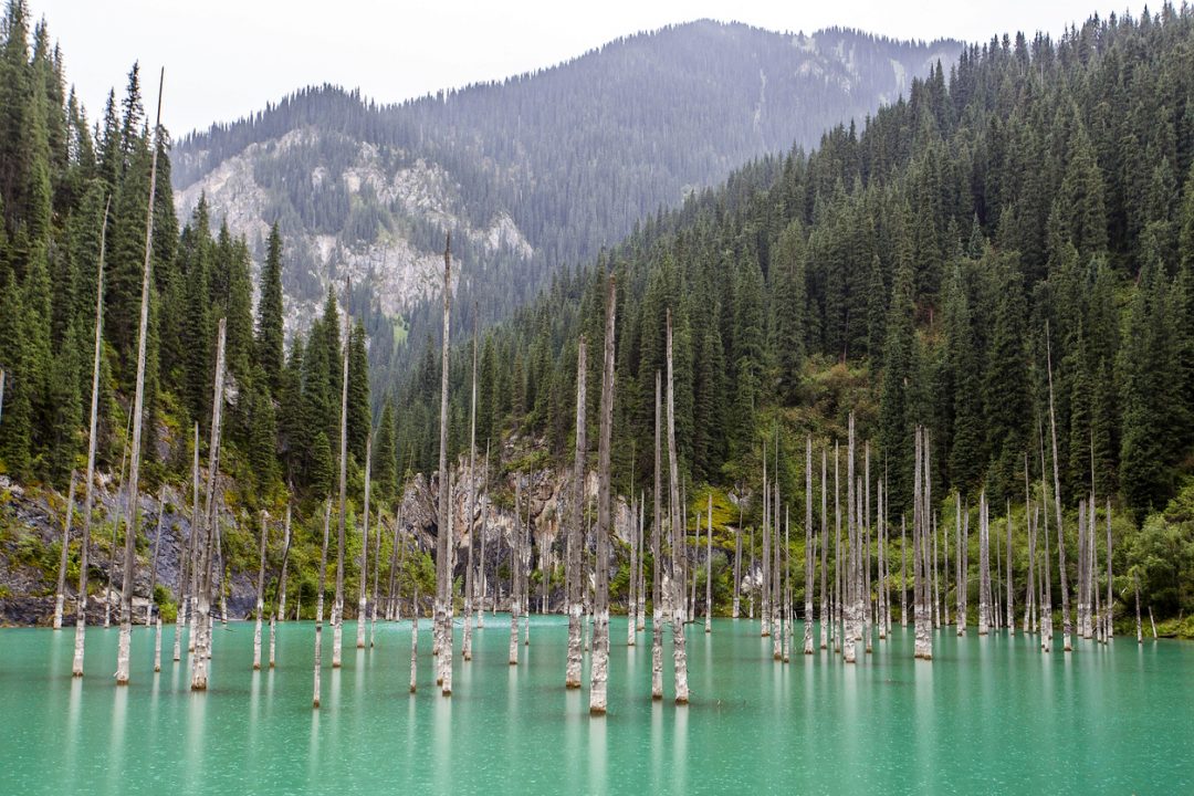 La foresta sommersa del Lago Kaindy (Kazakhistan)