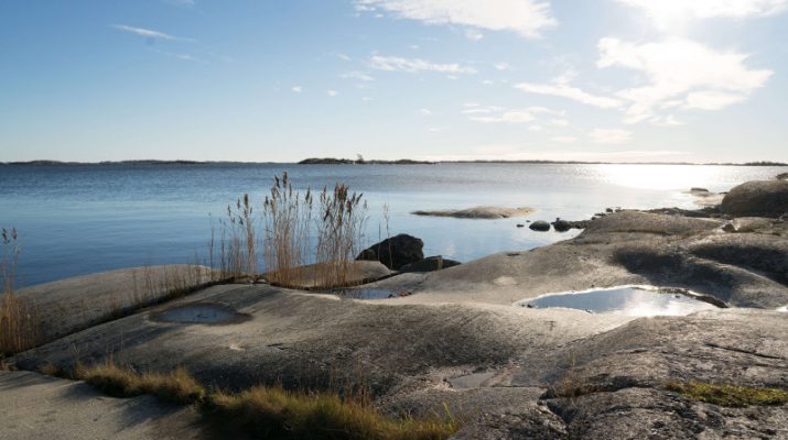 Foto Le meraviglie naturali della Svezia su Airbnb
