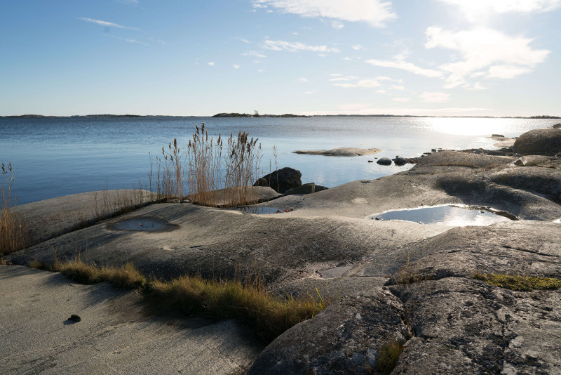 Le meraviglie naturali della Svezia su Airbnb