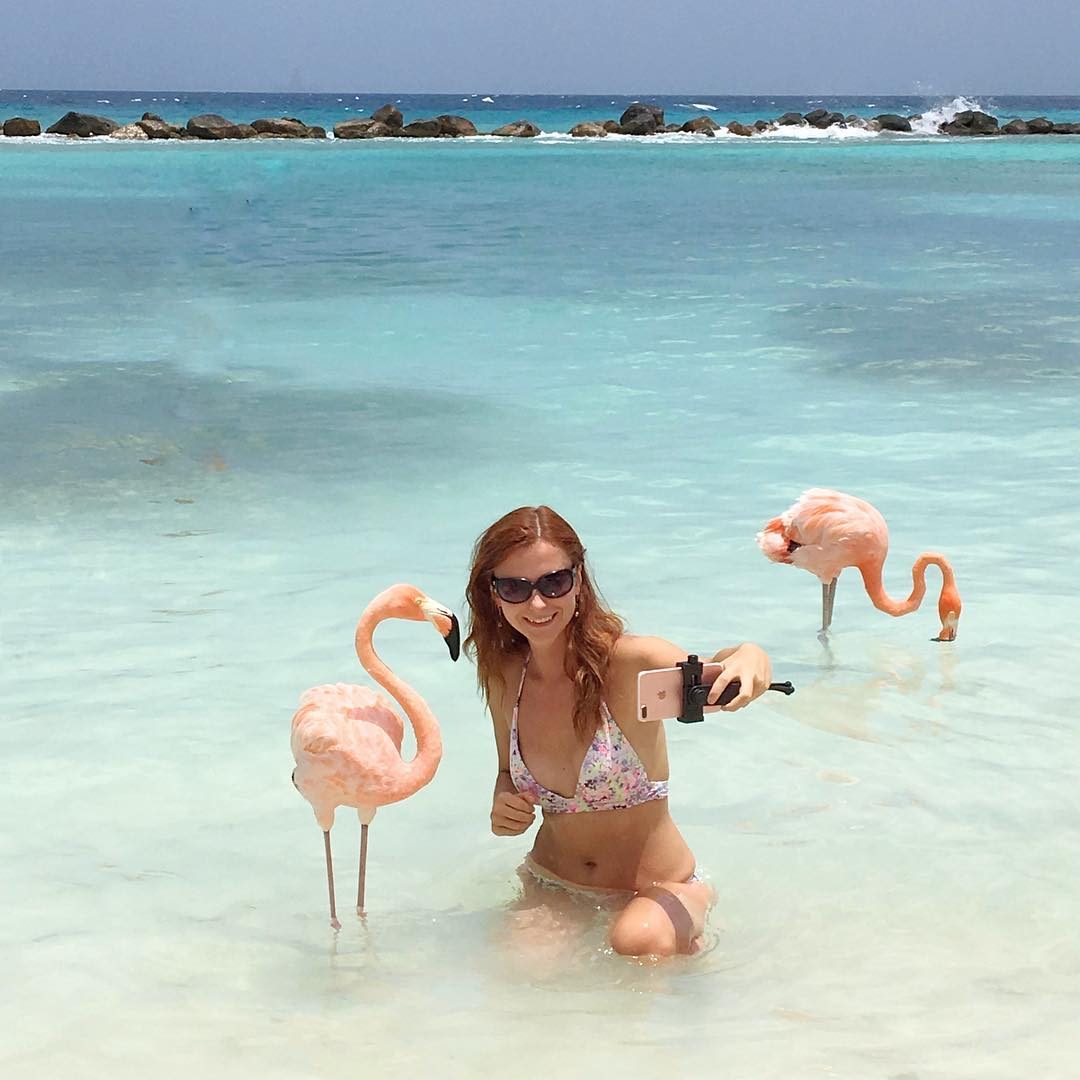 Tutti pazzi per i fenicotteri rosa a Flamingo Beach nei Caraibi