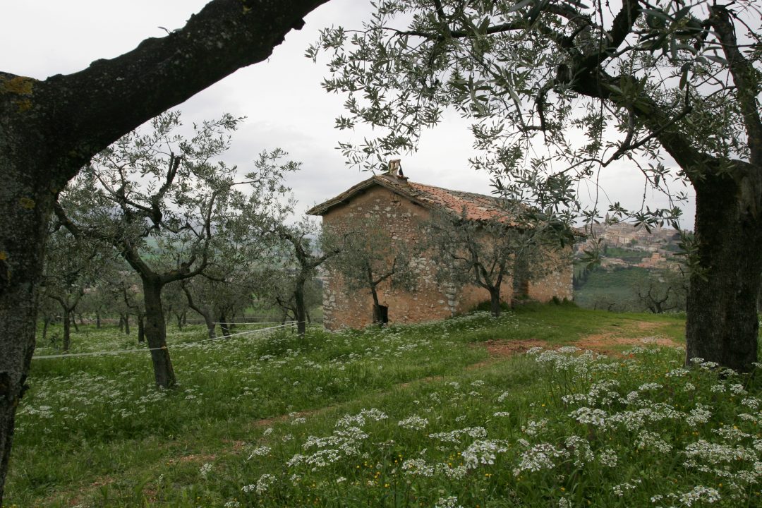 In Umbria, tra agriturismi e produttori