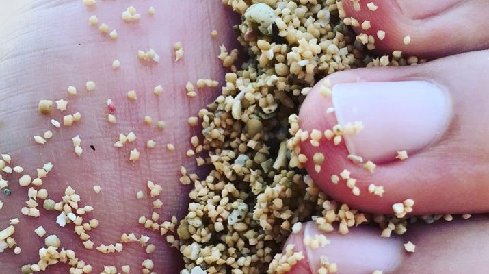 Foto La “spiaggia stellata” in Giappone