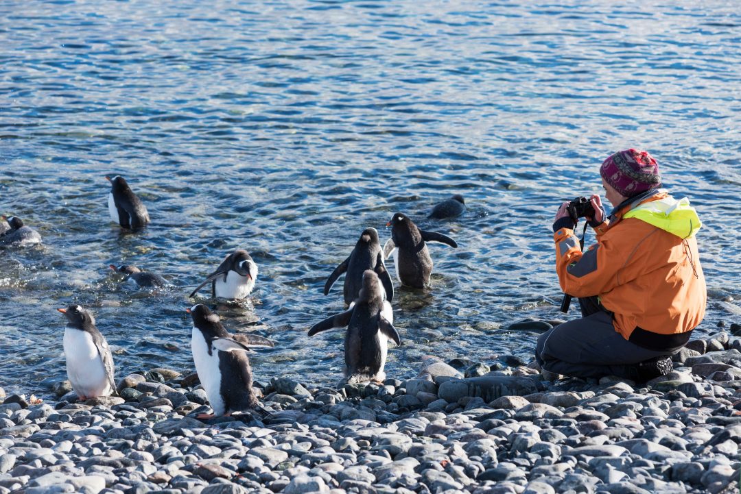 Antartide: in crociera tra pinguini e balene