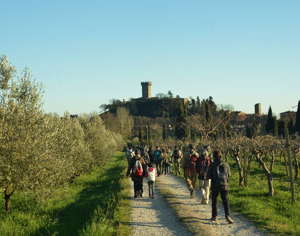 Il 29 ottobre, a passeggio tra gli olivi