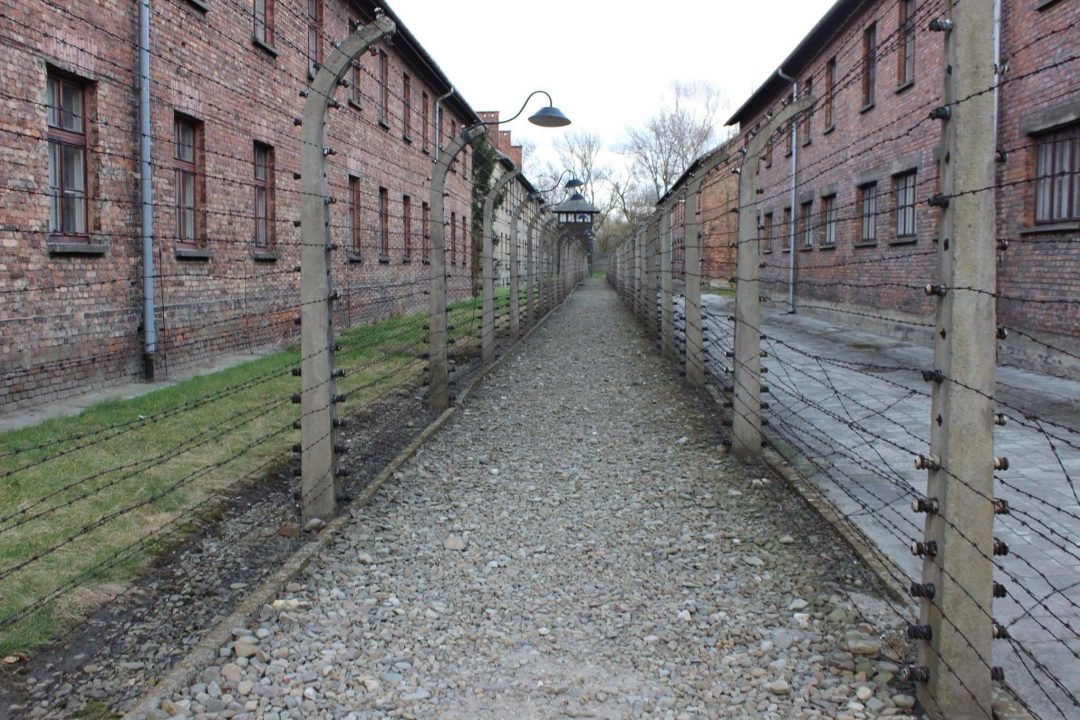 Auschwitz Birkenau, Polonia