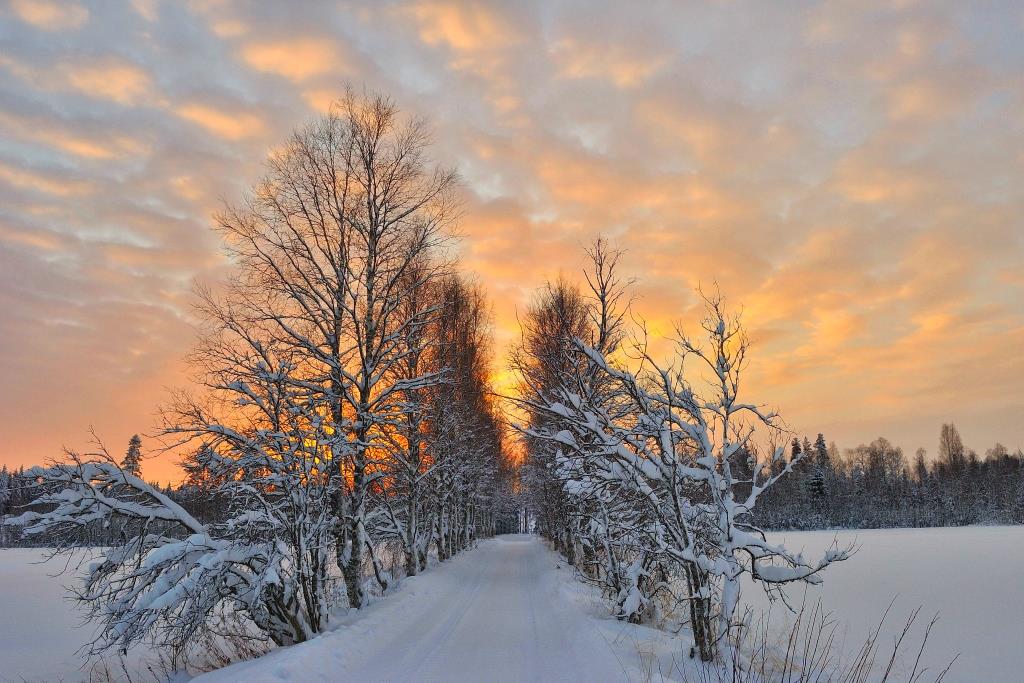 Svezia: tanti pacchetti per un Natale indimenticabile