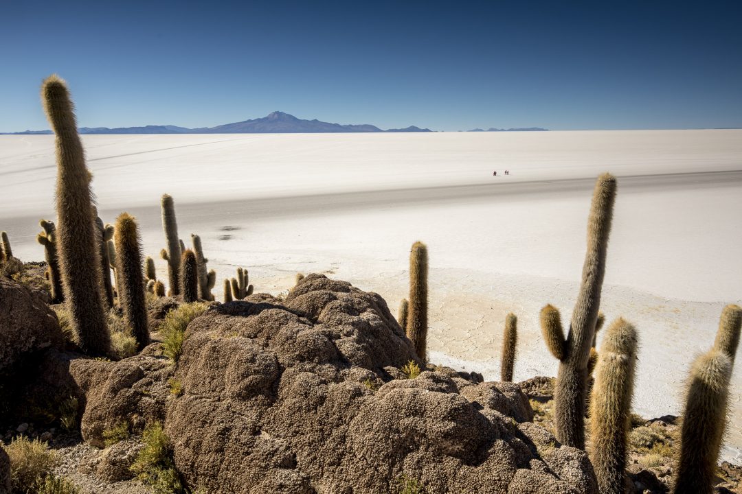 Bolivia: la natura dà spettacolo
