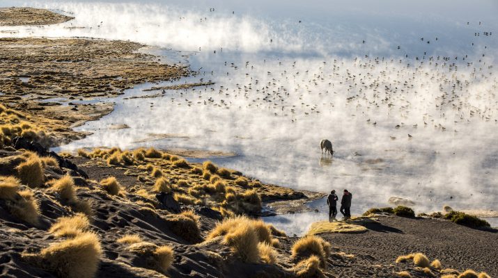 Foto Bolivia: la natura dà spettacolo