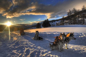 Neve, non solo sci: le migliori attività sulle montagne italiane